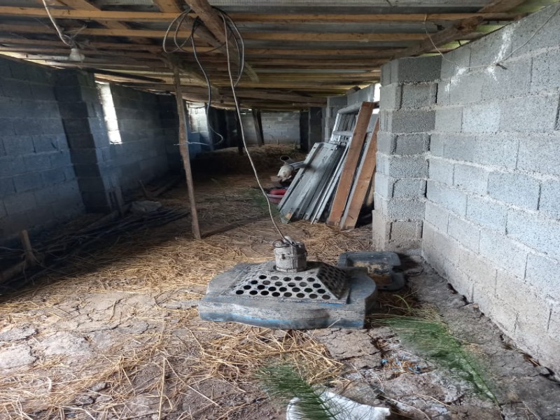 فروش زمین استخر ماهی 6000 متری در لاهیجان2