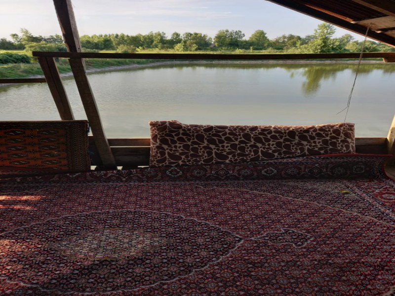 فروش زمین استخر ماهی 6000 متری در لاهیجان4