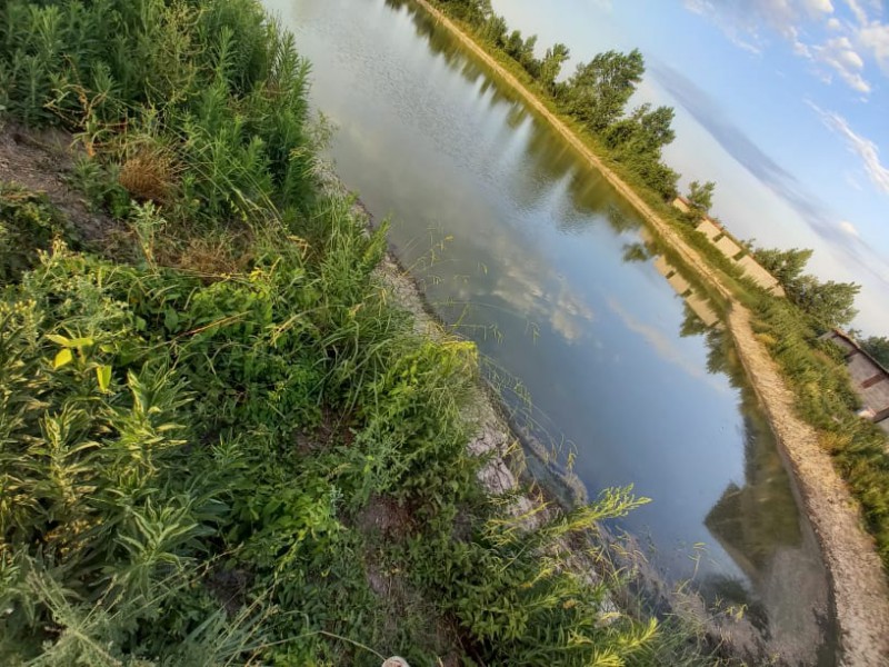 فروش زمین استخر ماهی 6000 متری در لاهیجان3