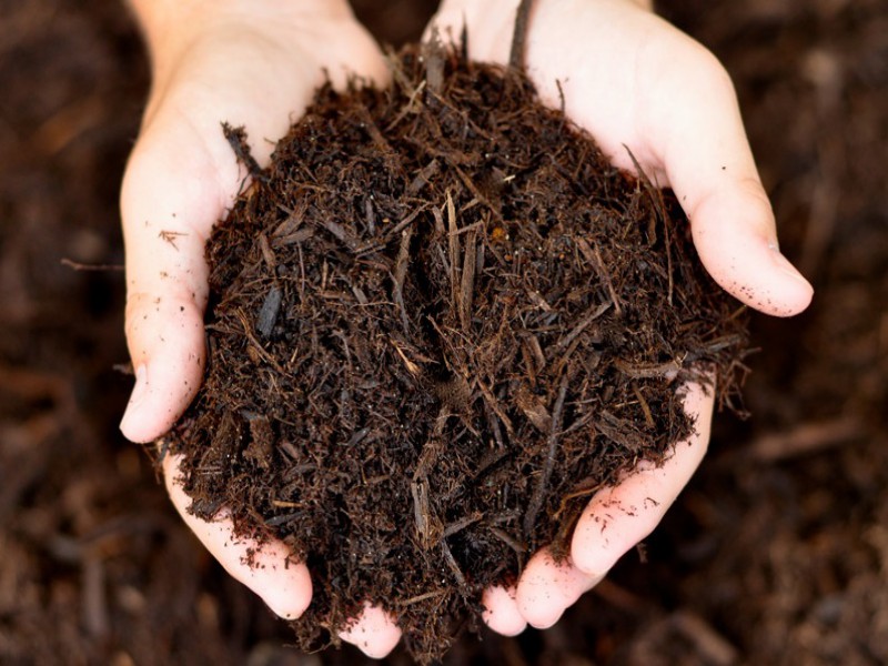 فروش مالچ 50 لیتری صنایع کود مارال0