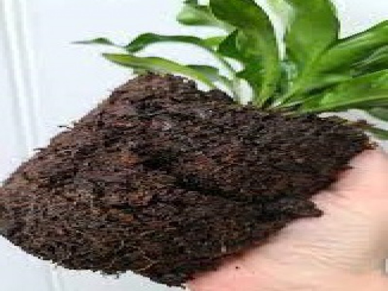 فروش الیاف گیاهی صنایع کود مارال0