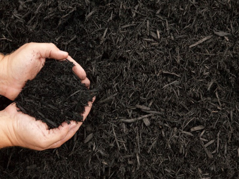 فروش مالچ 4 لیتری صنایع کود مارال0