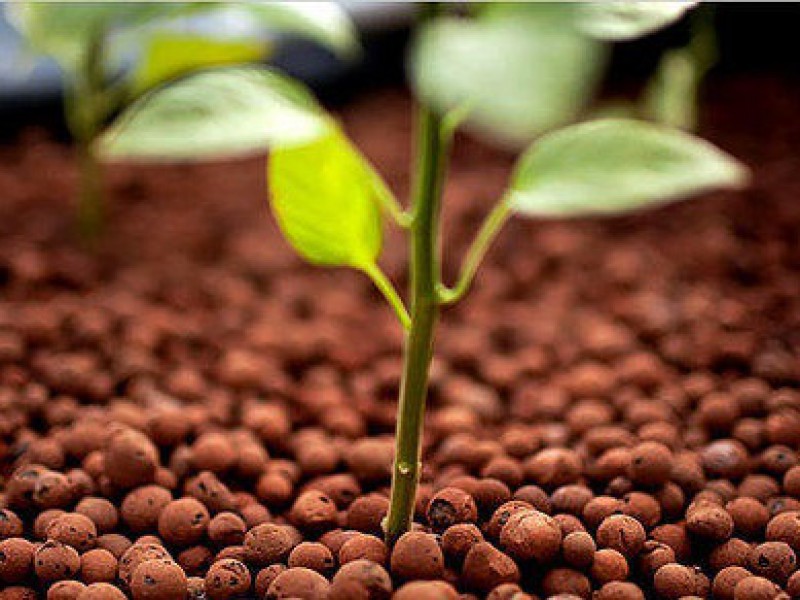 فروش پوکه لیکا 4 لیتری صنایع کود مارال 0