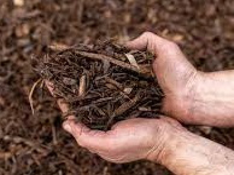 فروش مالچ 15 لیتری صنایع کود مارال0