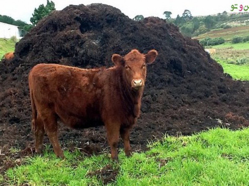 فروش کود گاوی 4 لیتری صنایع کود مارال0