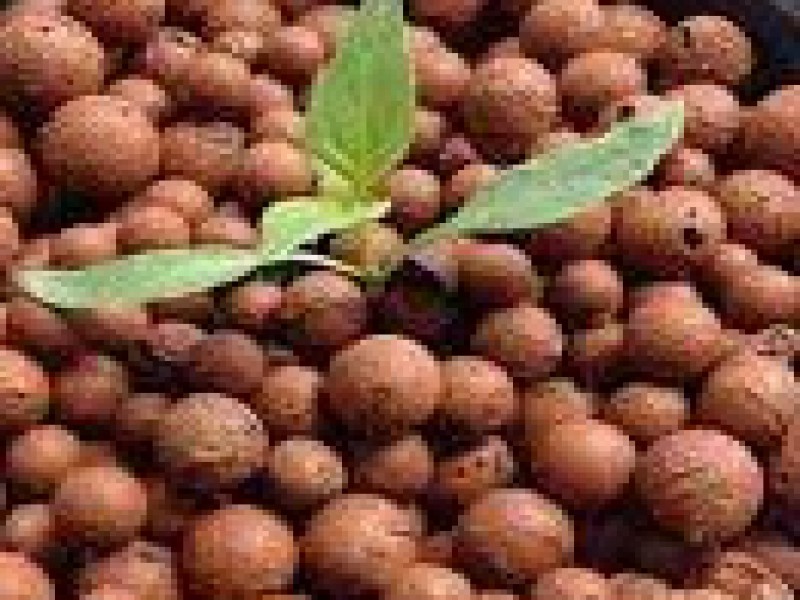 فروش پوکه لیکا 50 لیتری صنایع کود مارال0