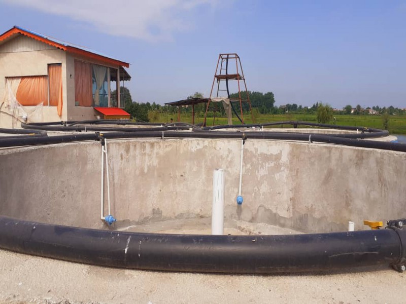 فروش استخر ماهی در سیاهکل3