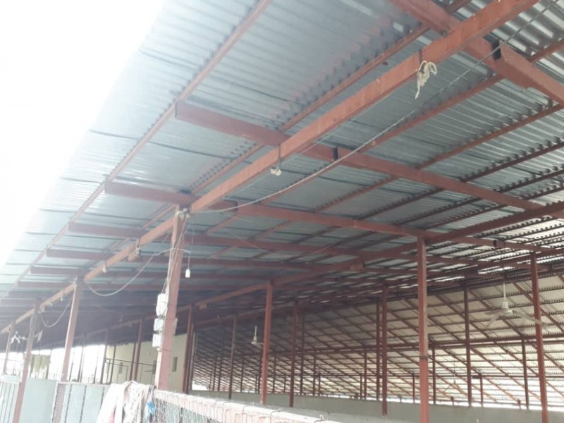 فروش دامداری در نور1