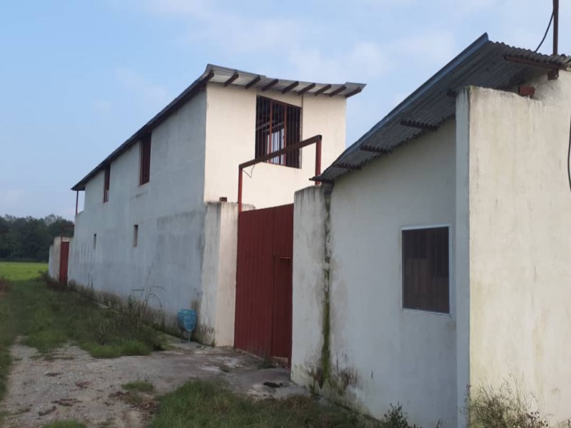 فروش دامداری در نور2