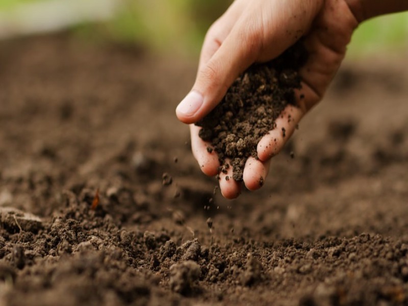 فروش کود گوگرد وتابل صنایع کود مارال0