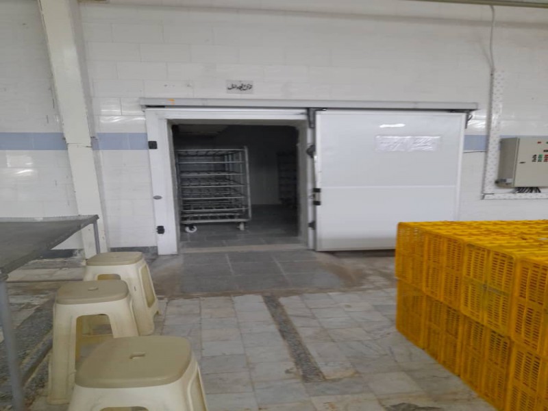 فروش کارخانه پای مرغ در شهرک صنعتی بندر گز3