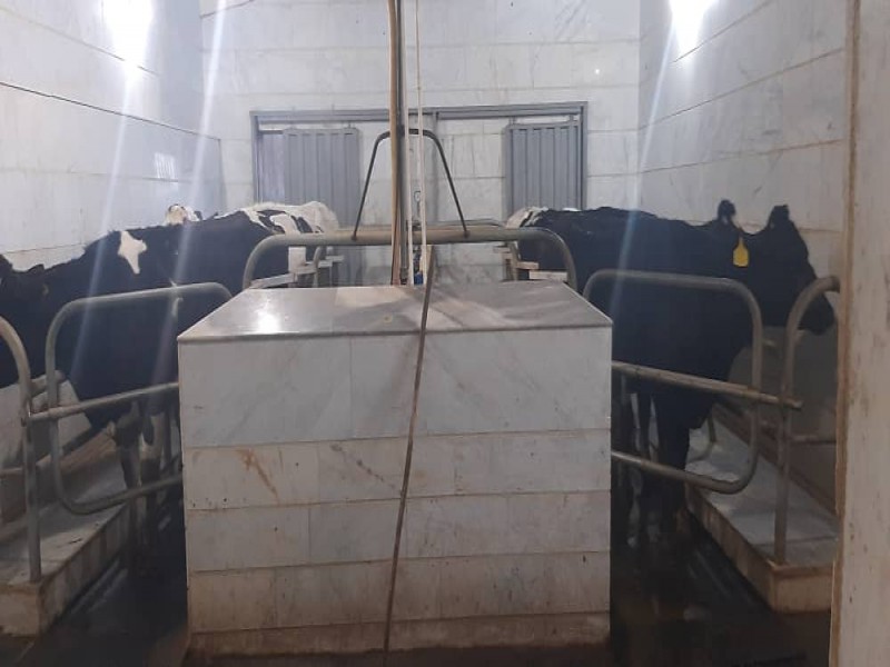 فروش دامداری 12 هزار متری در قزوین1