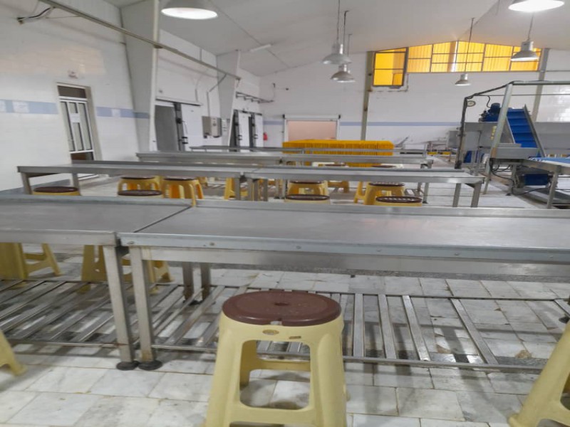 فروش کارخانه پای مرغ در شهرک صنعتی بندر گز4