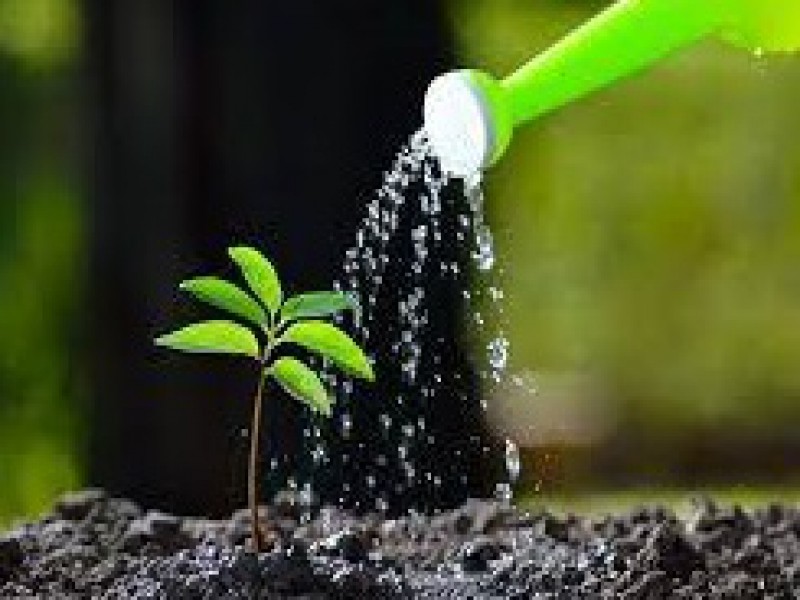 فروش کود 30-5-15 صنایع کود مارال0