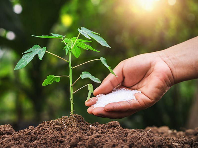 فروش کود نیترات پتاسیم صنایع کود مارال 0