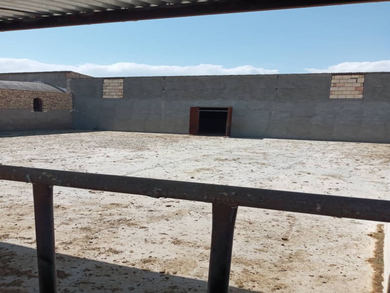 فروش دامداری 800 راسی در سرخه سمنان4