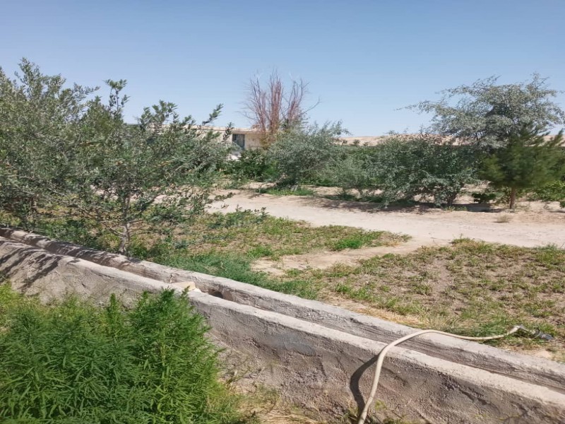 فروش دامداری 800 راسی در سرخه سمنان2