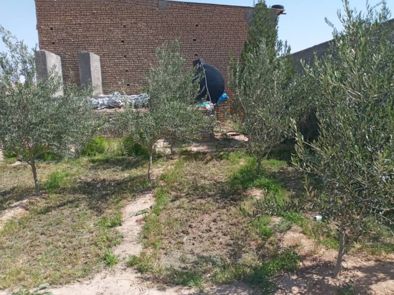 فروش دامداری 800 راسی در سرخه سمنان9