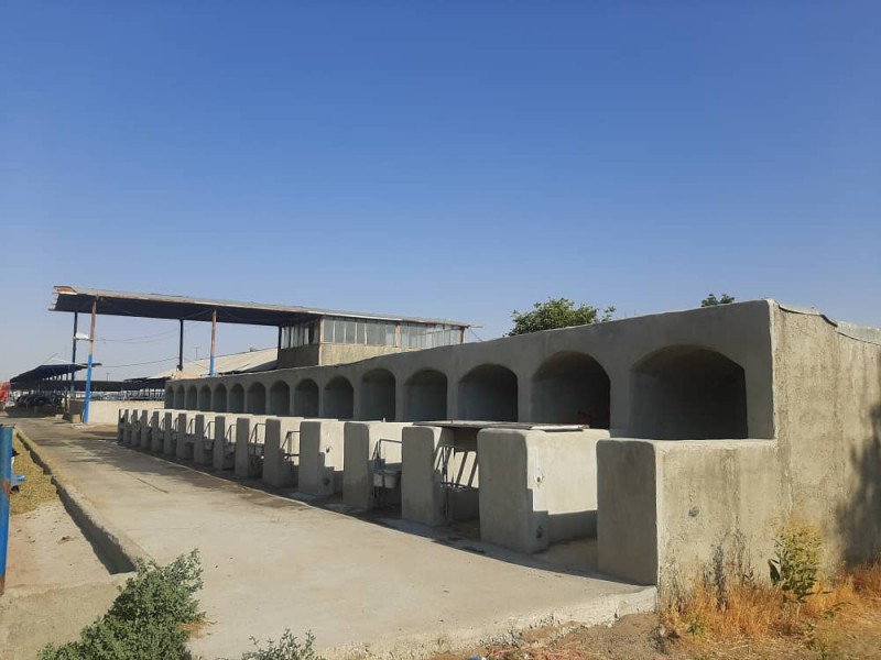 فروش گاوداری فعال در نظرآباد4