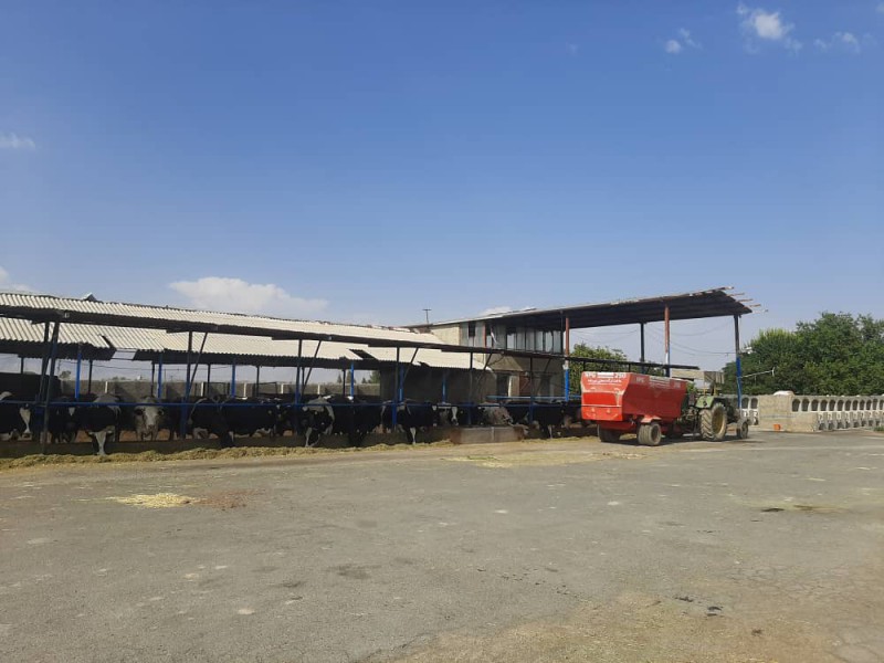 فروش گاوداری فعال در نظرآباد7