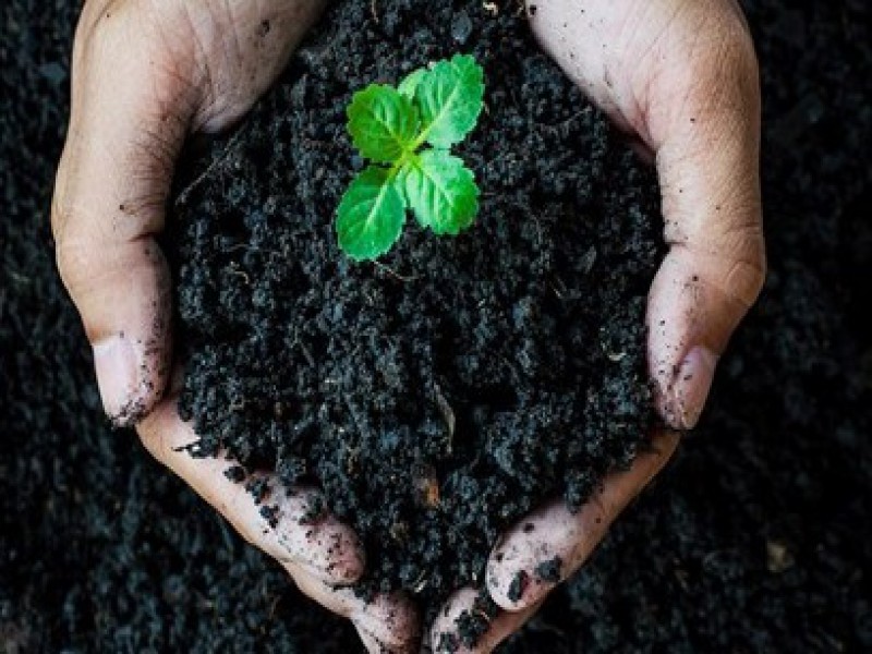 فروش اسید هیومیک مایع0