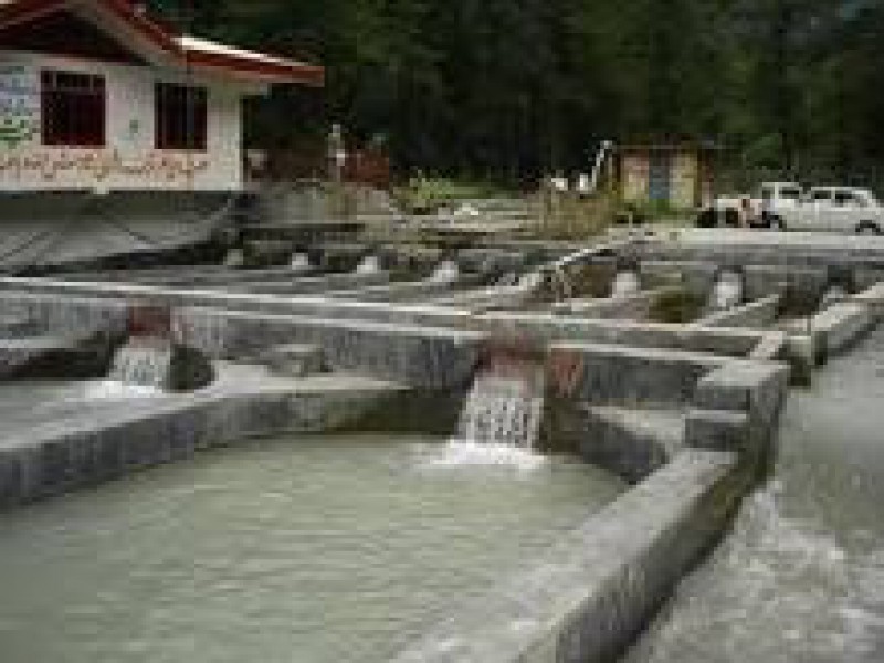 احداث استخرهای پرورش ماهی با  ورق ژئوممبران0