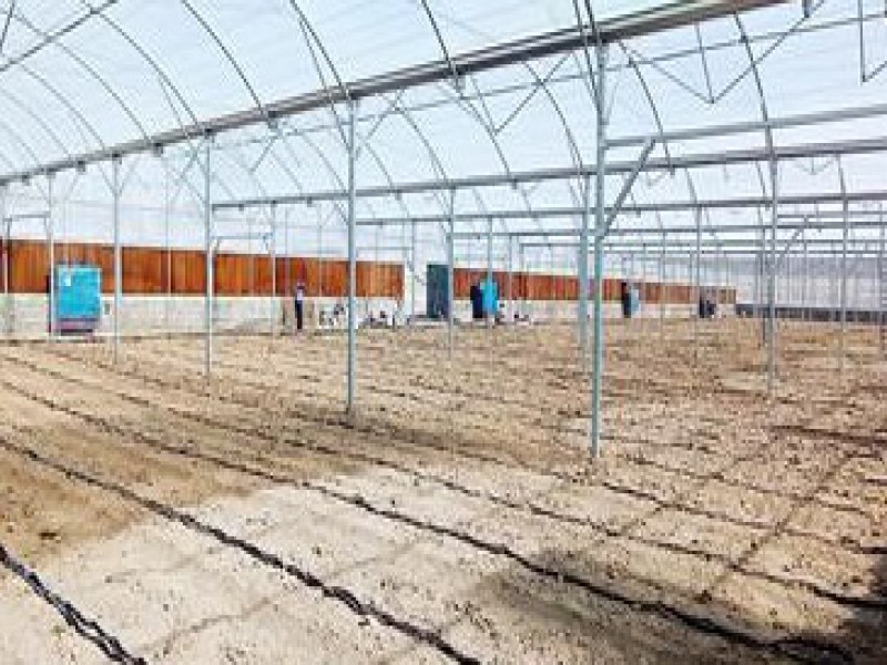 فروش تجهیزات گلخانه 0