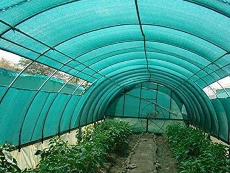 فروش توری سایه بان گلخانه ای0