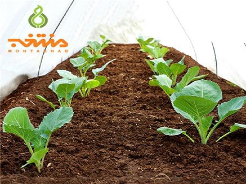 مشاور کشاورزی و نسخه نویسی0