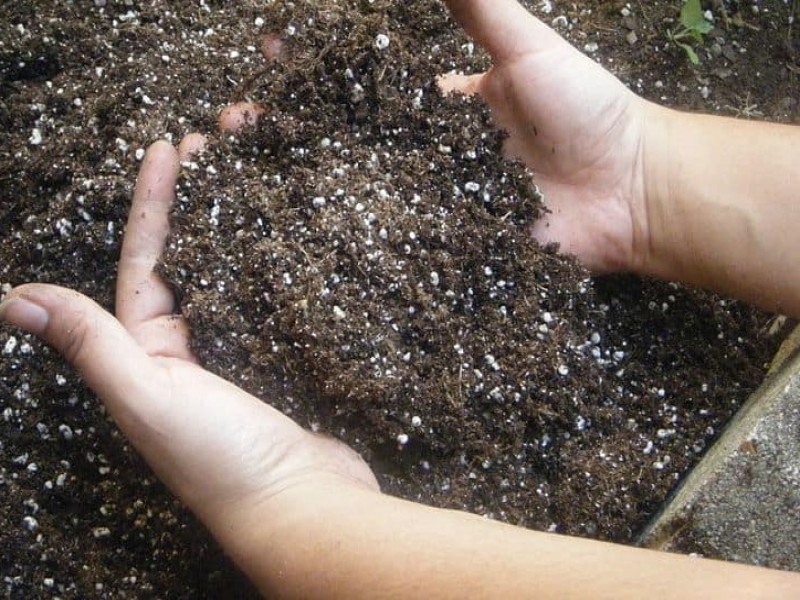 قیمت خاک کود آماده کشت 70 لیتری0