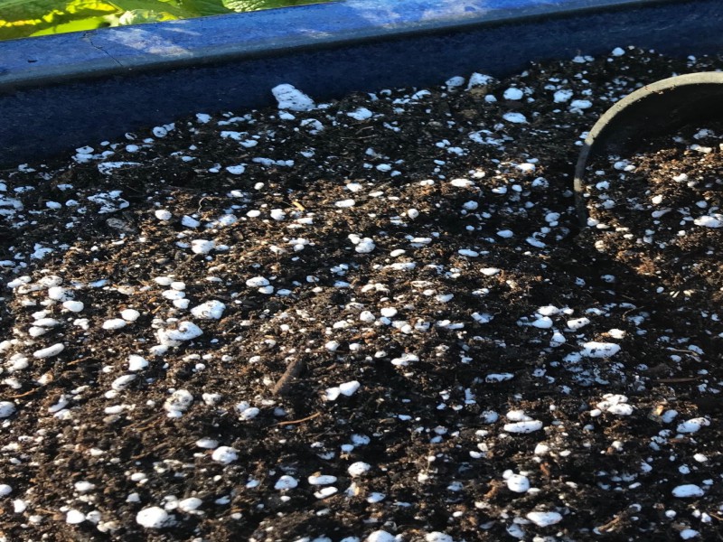 قیمت خاک گلدان 4 لیتری0