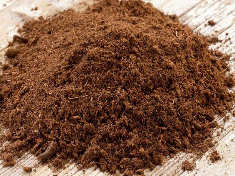 فروش پیت ماس 4 لیتری0