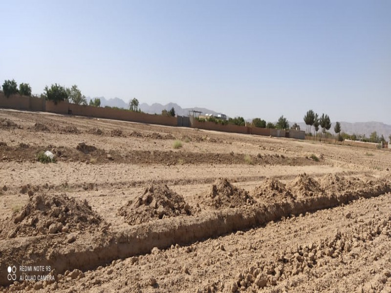 فروش زمین 1000 متری در جوزدان نجف آباد اصفهان3