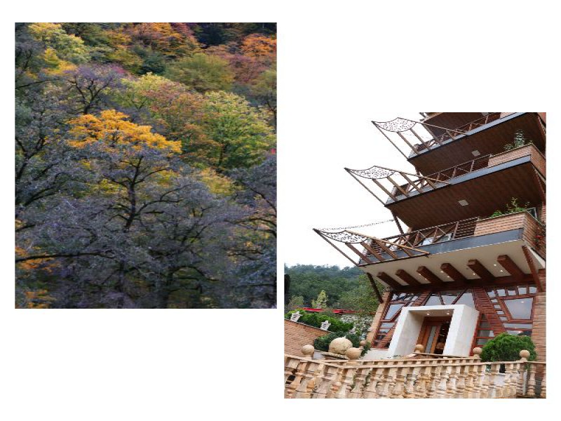 فروش هتل آپارتمان نوساز جنگلی8