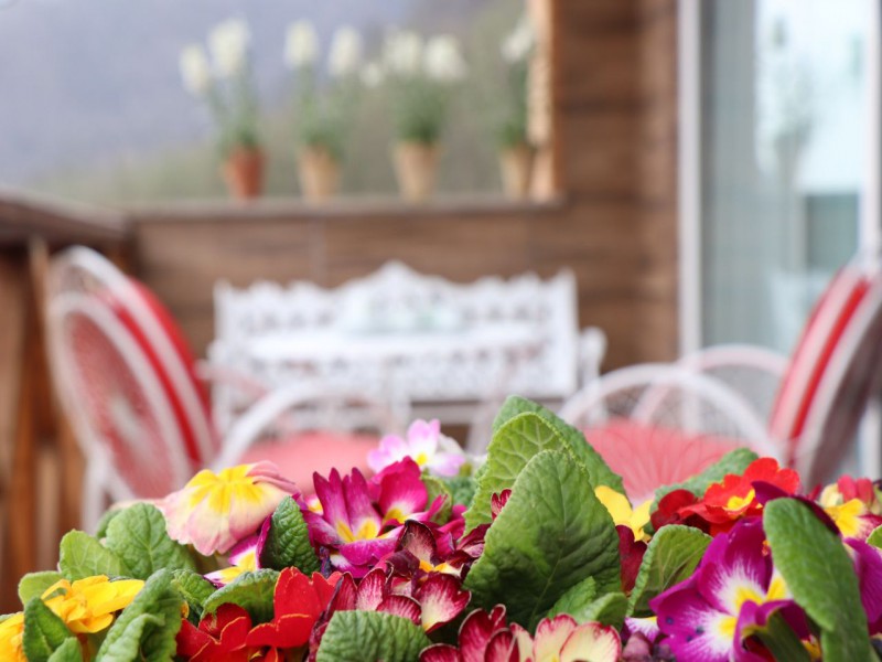 فروش هتل آپارتمان نوساز جنگلی1