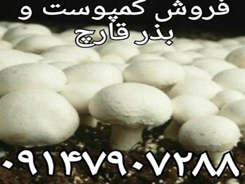 فروش کمپوست قارچ دکمه ای0