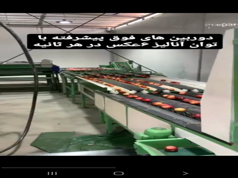 قیمت فروش خط سورتینگ میوه0