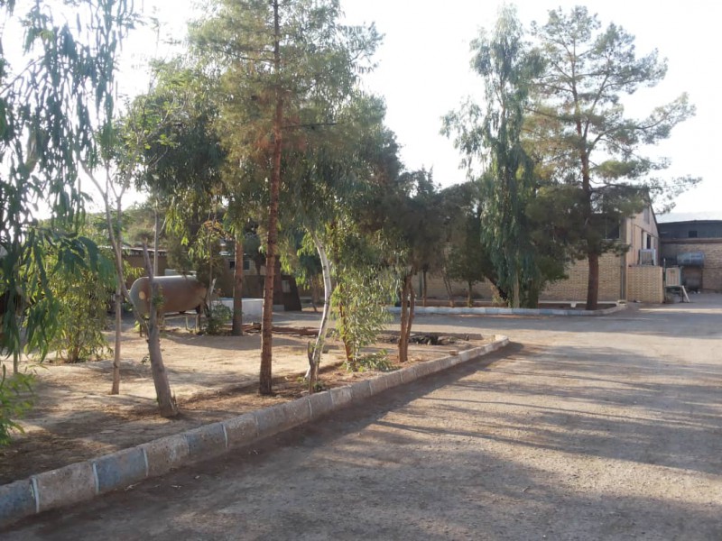 فروشنده کارخانه فرش بافی در کاشان3