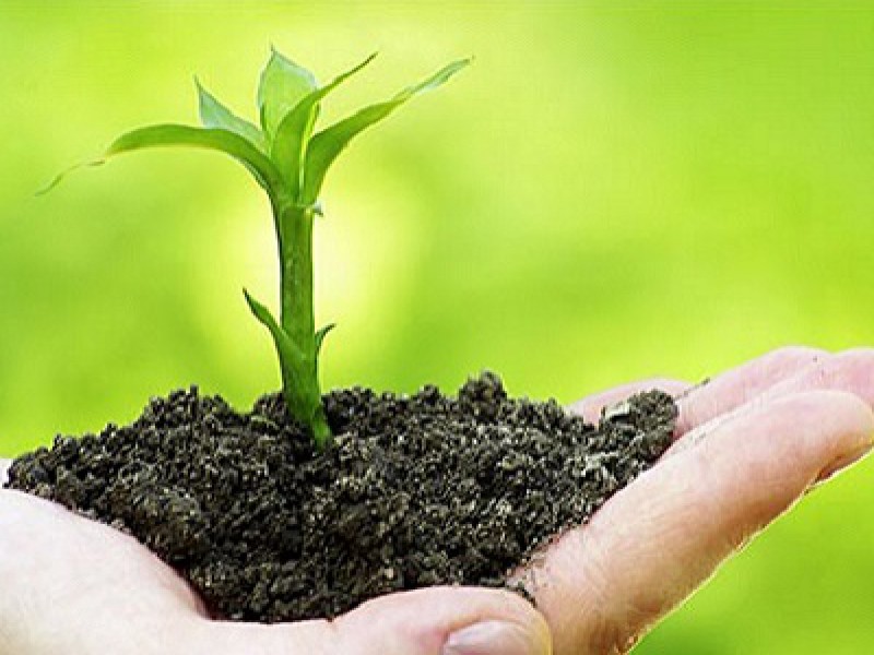 مرکز فروش کود زیستی فرانکیا در گرگان0