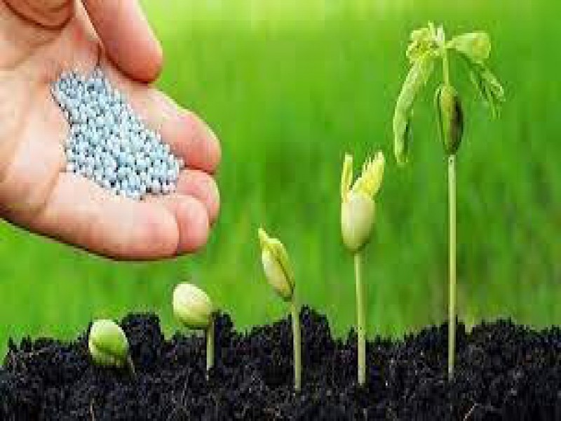 فروش کود زیستی فرانکیا در گرگان0