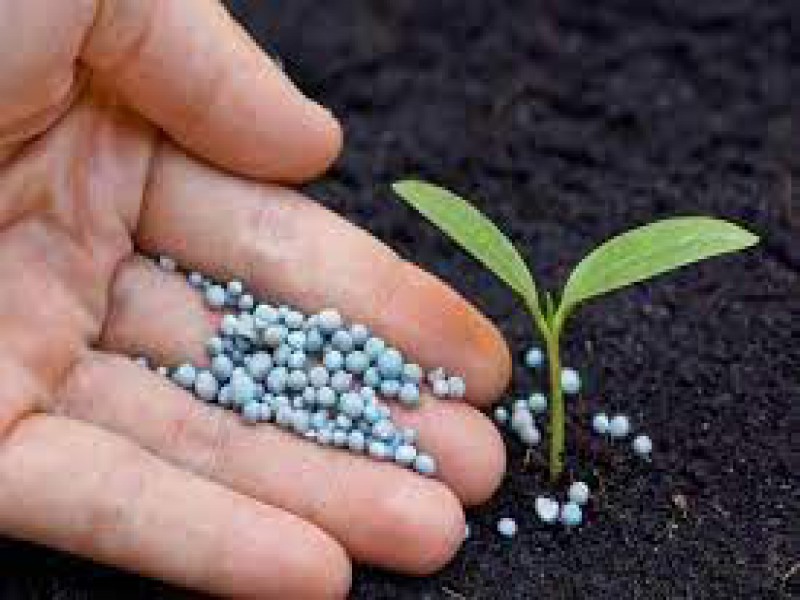 ڕاوێژکاری پێوانەی کشتوکاڵی0