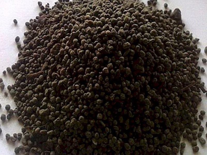 کود کبوتر گرانول1