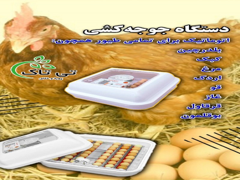 دستگاه جوجه کشی 091974434530