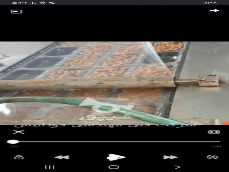 کارخانه بسته بندی انواع شوریجات0