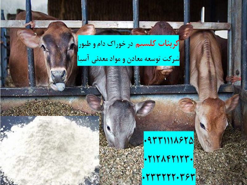 کربنات کلسیم در خوراک دام و طیور0
