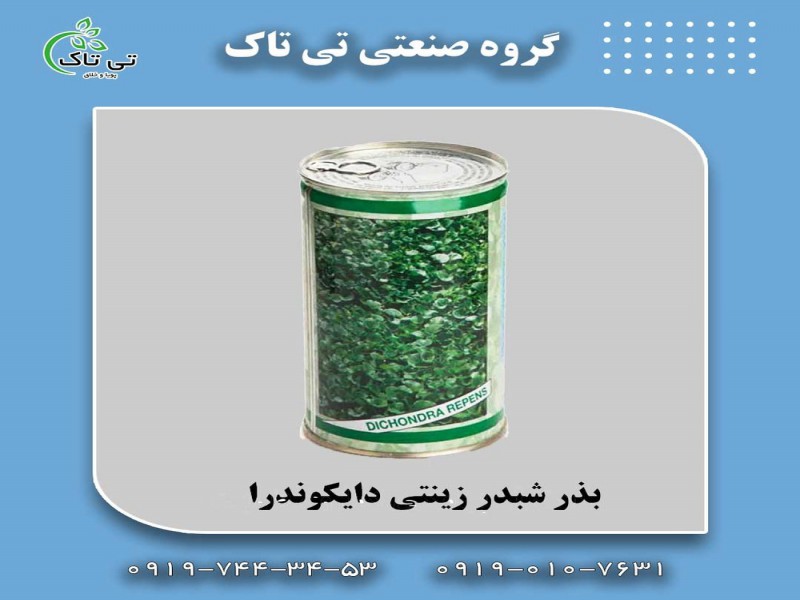 بذر دایکوندرا | قیمت و خرید بذر چمن0