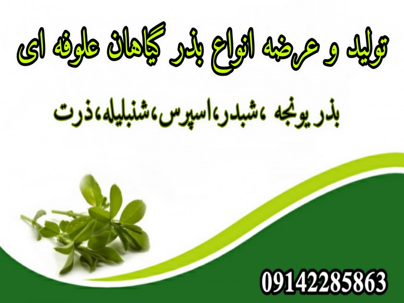 فروش بذر یونجه ،بذر شبدر ،بذر اسپرس0