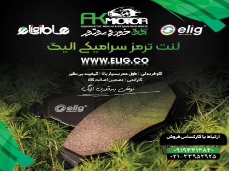 لنت ترمز سرامیکی الیگ0