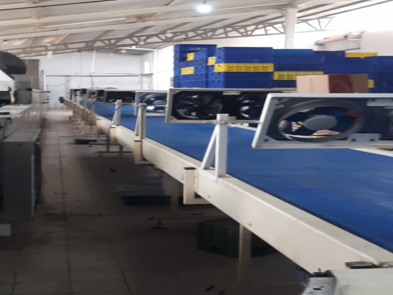 خط تولید انواع کیک2