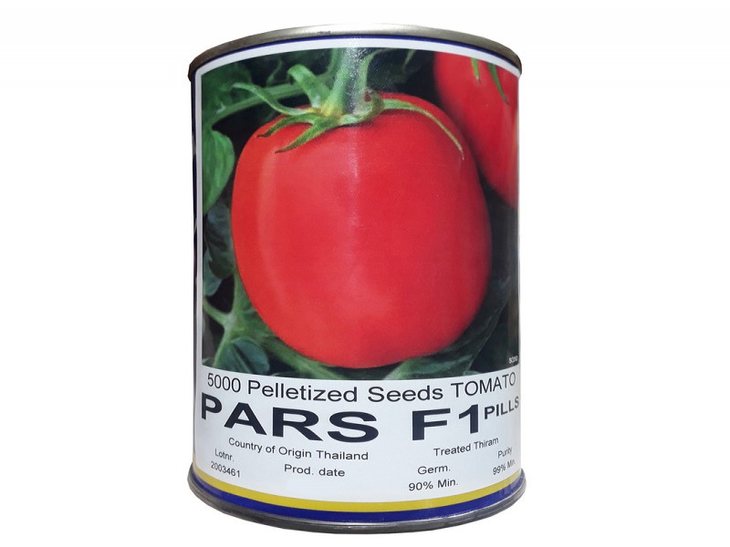 قیمت بذر گوجه پارس , خرید بذر گوجه فرنگی پارس f10